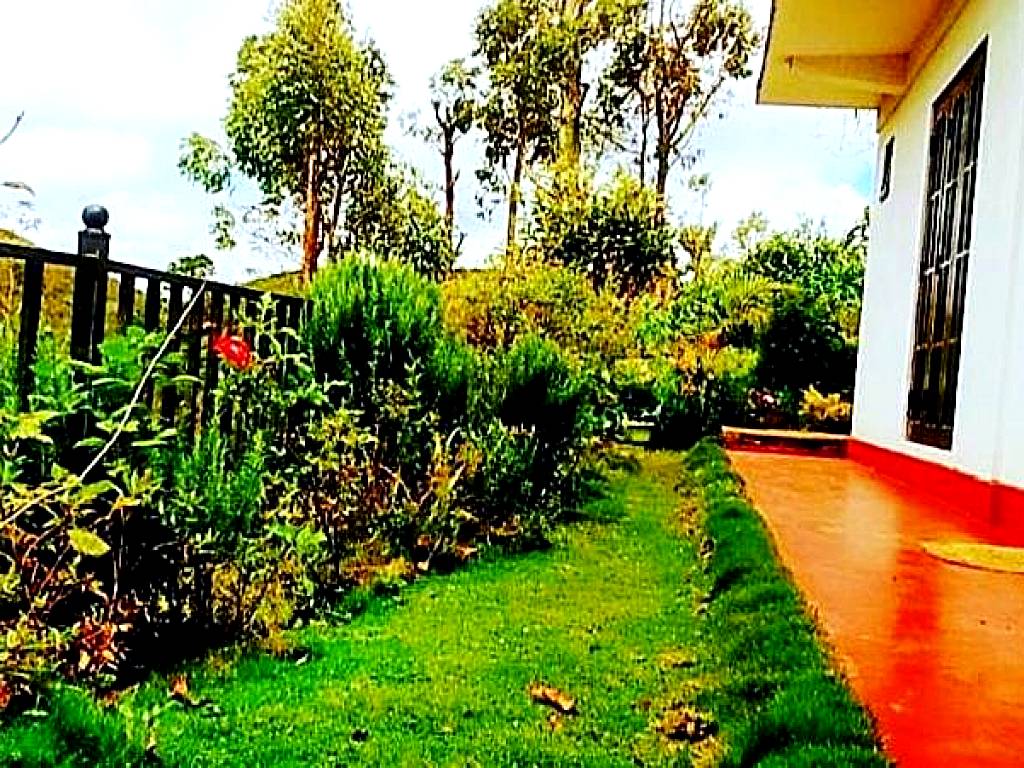 Green Gregory Villa Nuwara Eliya
