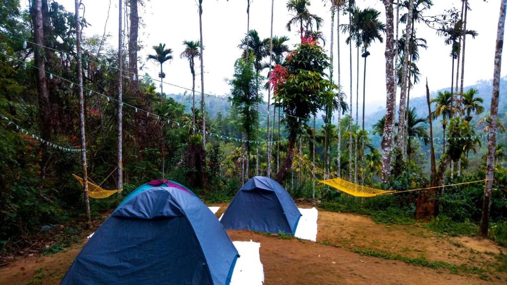 Tropical camping