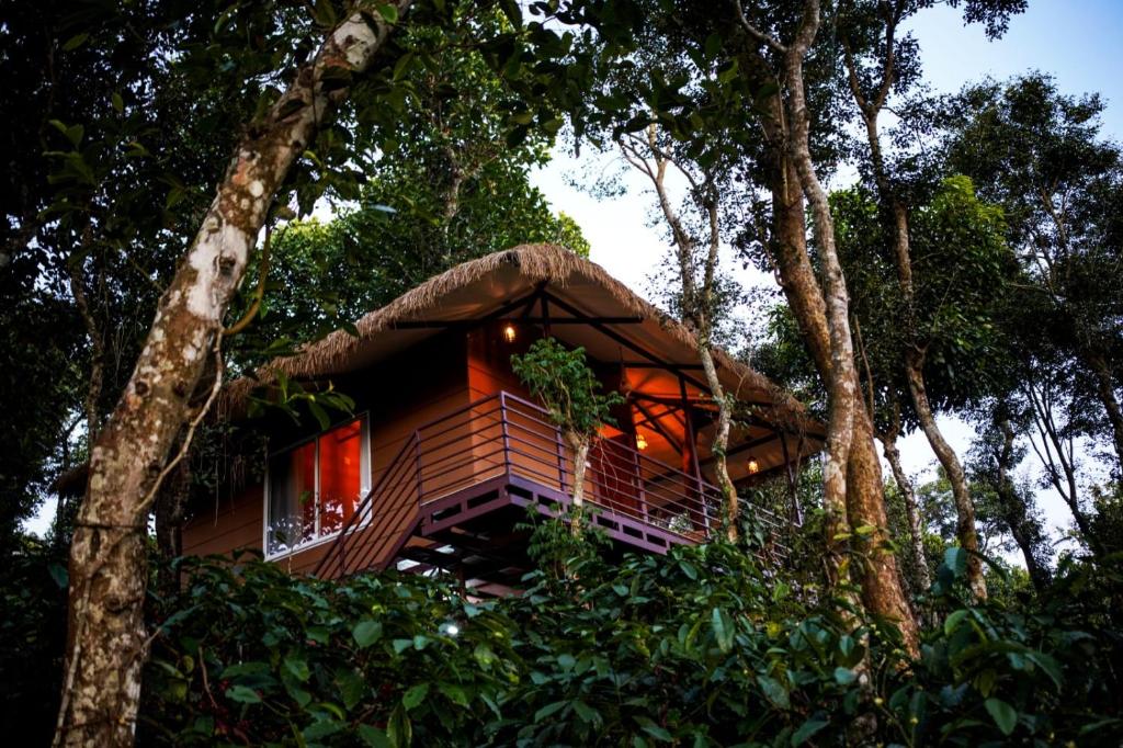 Coffee Cradle Wayanad - Luxuorios Private Tree House Inside 2 Acre Plantation