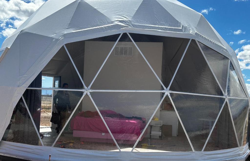 Barbie Dome