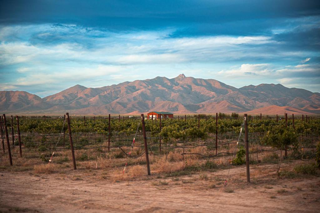 Casa Barbera at Tirrito Farm