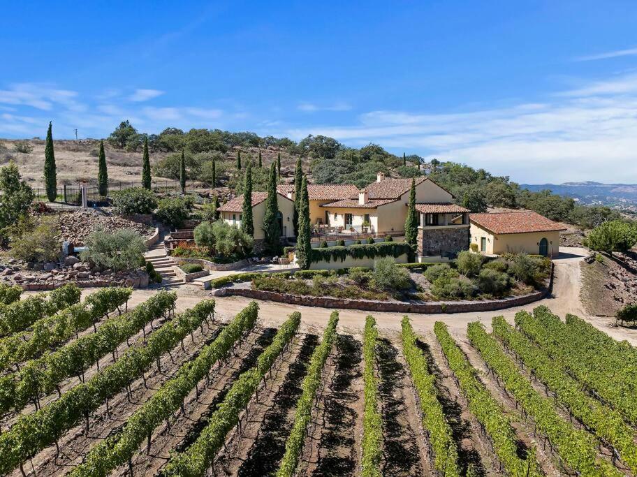 Tuscan Villa w/Vineyard Views!