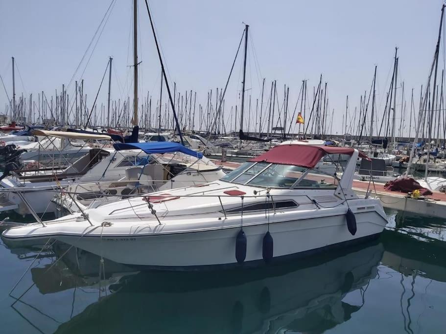 Barco acogedor en el puerto del másnou